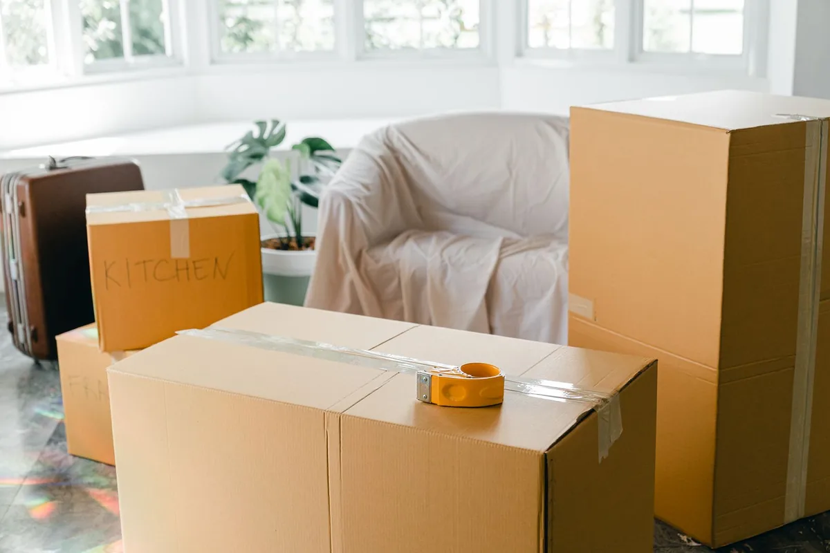 Hoarding Cleanup in Albany, CA